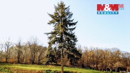 Prodej stavebního pozemku 1 311 m², Krnov