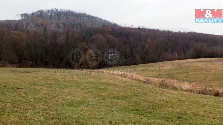 Prodej louky 8 010 m², Třebušín