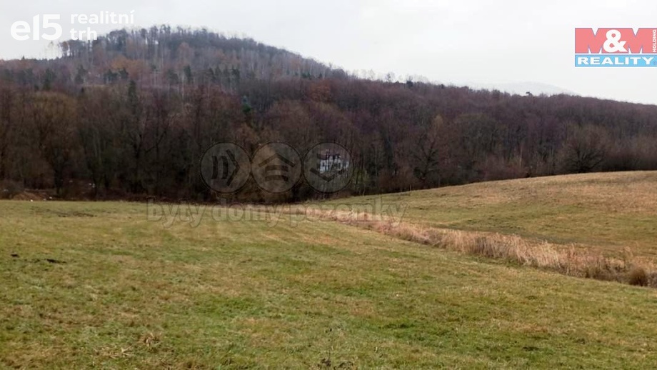 Prodej pozemky - trvalý travní porost, 8 010 m² - Třebušín