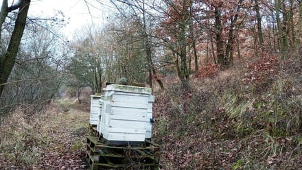 Prodej zahrady 3 561 m², Velemín