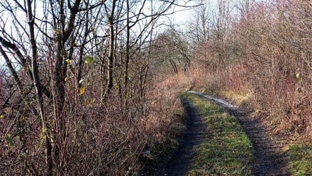 Prodej zahrady 3 561 m², Velemín