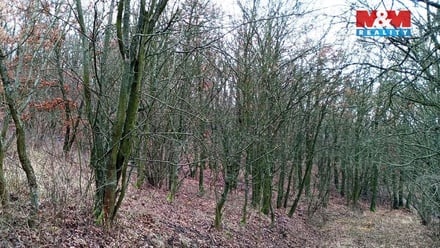 Prodej zahrady 3 561 m², Velemín