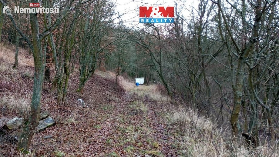 Prodej zahrady 3 561 m², Velemín