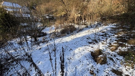 Prodej stavebního pozemku 1 701 m², Jílové u Prahy