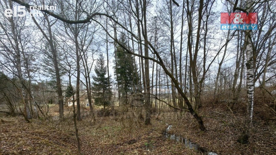 Prodej pozemky - trvalý travní porost, 629 m² - Borohrádek