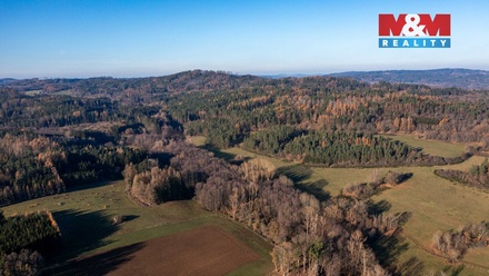 Prodej lesa 25 838 m², Nalžovské Hory