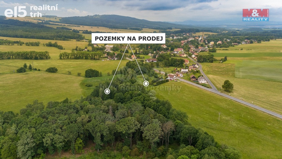 Prodej pozemky - trvalý travní porost, 4 178 m² - Dětřichov
