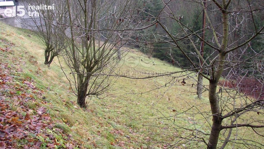 Prodej pozemky - trvalý travní porost, 1 180 m² - Vysoké nad Jizerou - Stará Ves