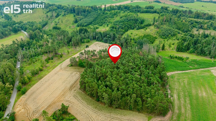 Prodej lesy, 8 287 m² - Budišov