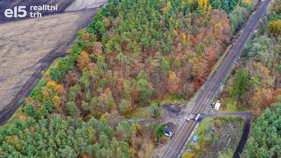 Prodej lesy, 6 436 m² - Lysá nad Labem
