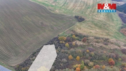 Prodej pole 1 163 m², Nepomuk