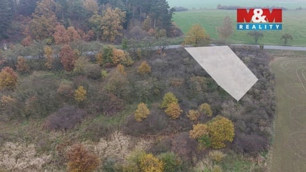 Prodej pole 1 163 m², Nepomuk