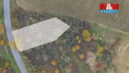 Prodej pole 1 163 m², Nepomuk