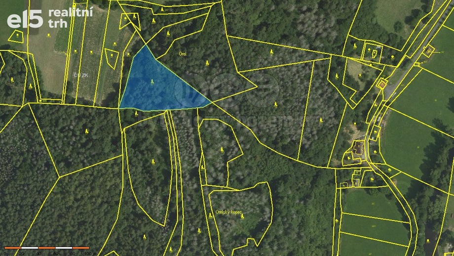 Prodej lesy, 4 497 m² - Koroužné
