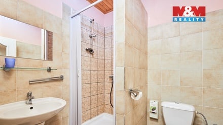 Prodej nemovitosti pro ubytování 185 m², Horní Planá