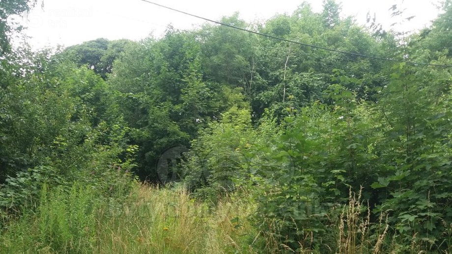 Prodej pozemky - zahrady, 2 477 m² - Hranice