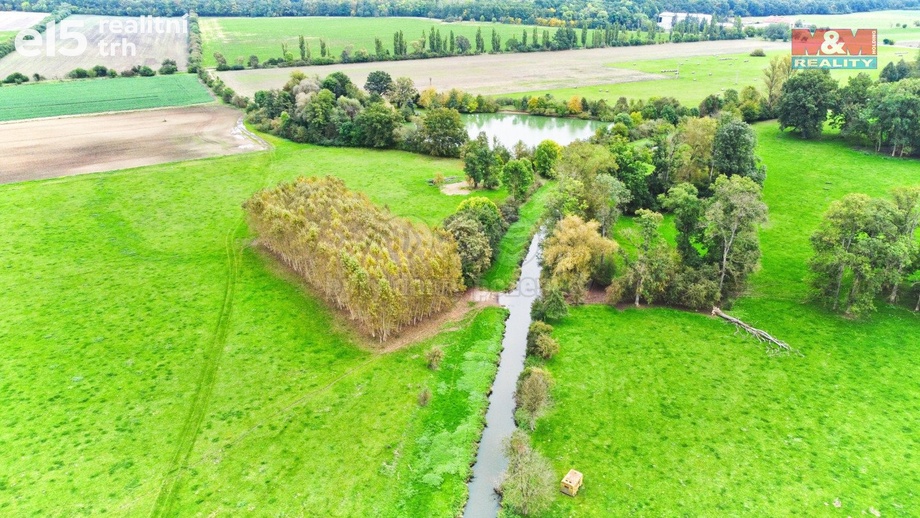 Prodej lesy, 1 461 m² - Skřivany