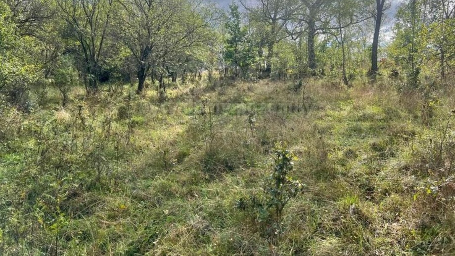 Prodej zahrady 5 897 m², Lešany