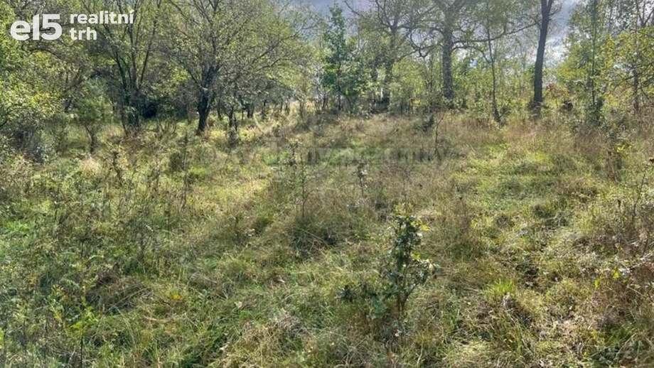 Prodej pozemky - zahrady, 5 897 m² - Lešany