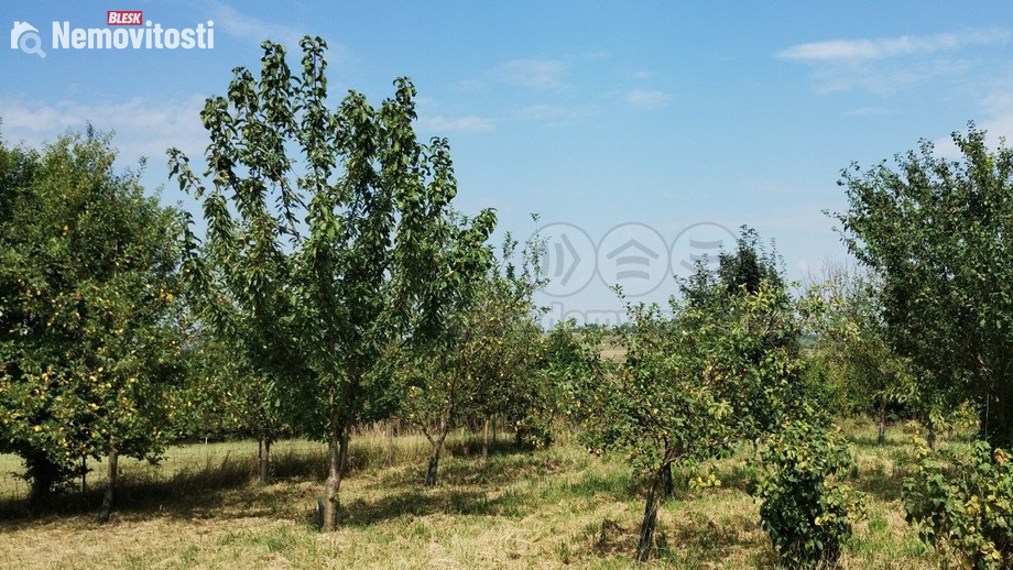 Prodej zahrady 5 861 m², Příbor