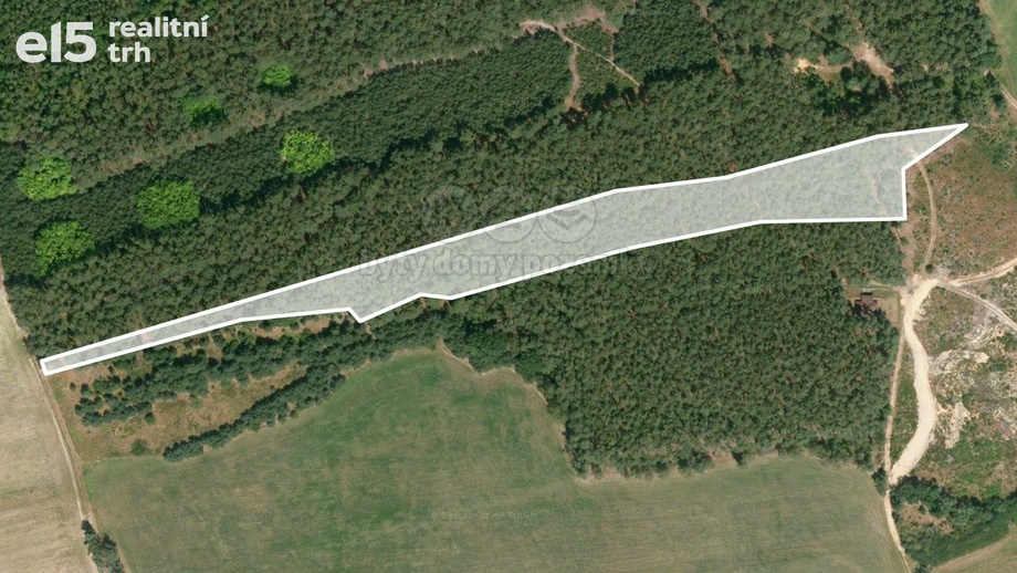 Prodej lesy, 33 090 m² - Rybnice