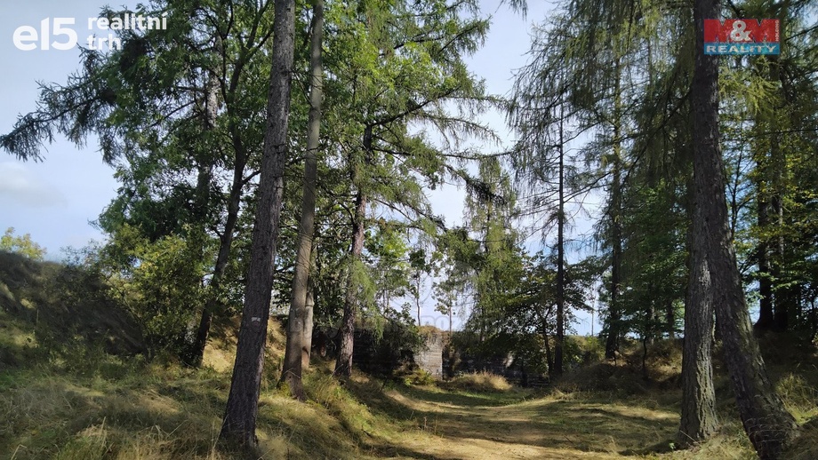 Prodej ostatní pozemky, 13 529 m² - Razová