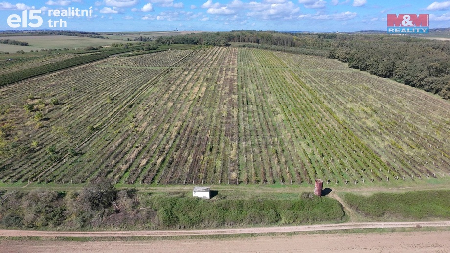 Prodej zemědělská půda, 2 067 m² - Josefov