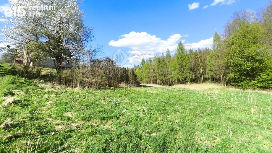 Prodej pozemky pro bydlení, 4 646 m² - Žermanice