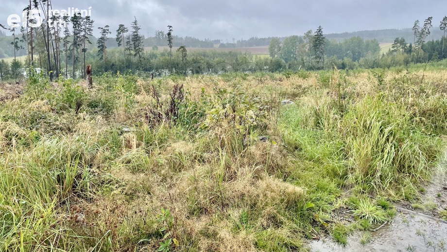 Prodej lesy, 26 489 m² - Častrov - Ctiboř