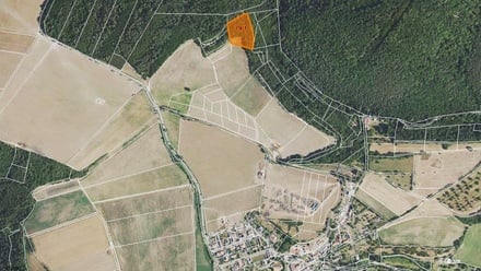 Prodej louky 6 426 m², Nezabudice