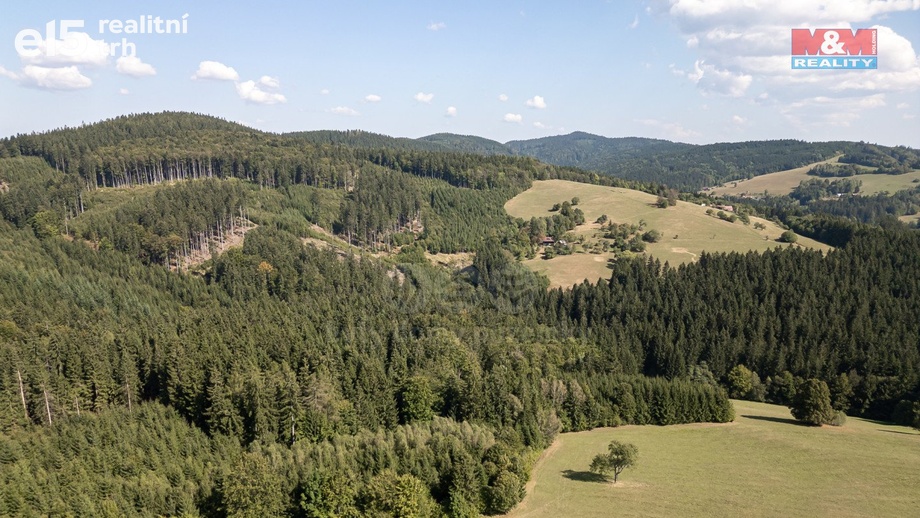 Prodej lesy, 8 743 m² - Valašská Senice