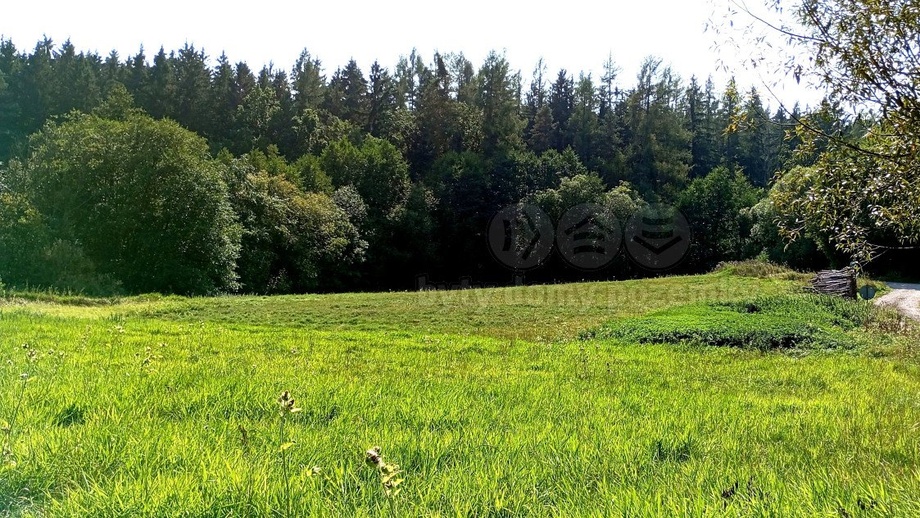 Prodej pozemky - trvalý travní porost, 11 196 m² - Chyňava