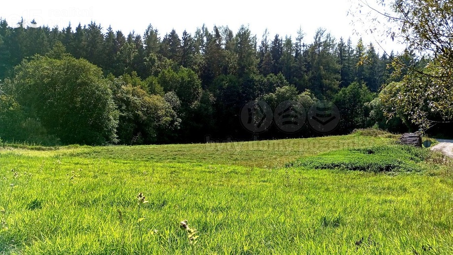 Prodej pozemky - trvalý travní porost, 11 196 m² - Chyňava