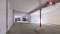 Pronájem skladu 5 693 m², Tochovice