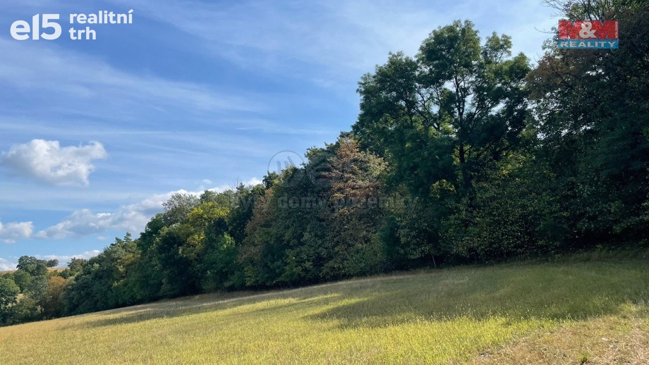 Prodej lesy, 845 297 m² - Kněždub