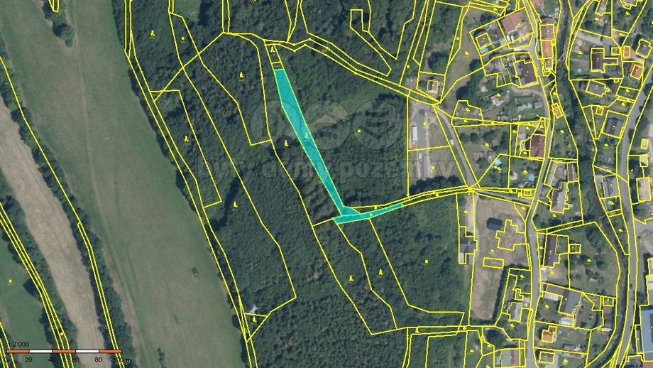 Prodej lesy, 1 600 m² - Oskava