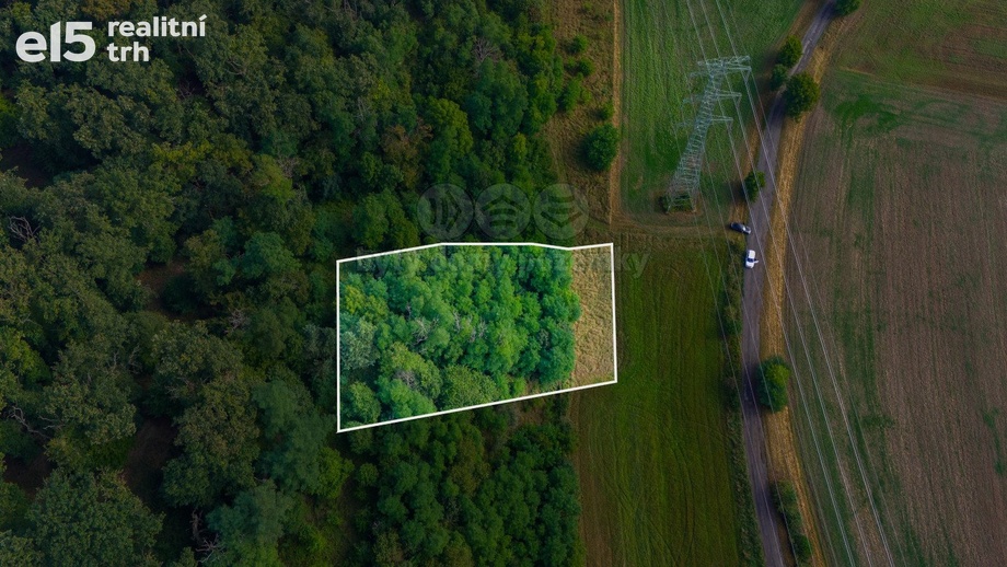 Prodej lesy, 2 715 m² - Kochánky
