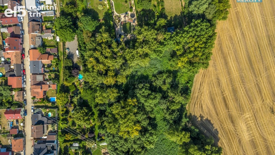 Prodej lesy, 10 056 m² - Kostelec nad Labem