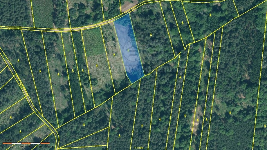 Prodej lesa 5 033 m², Jetětice