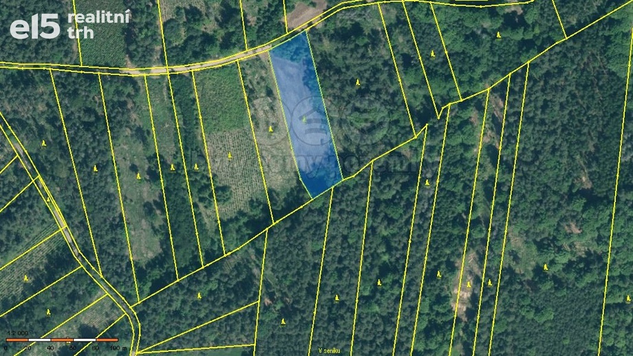 Prodej lesy, 5 033 m² - Jetětice
