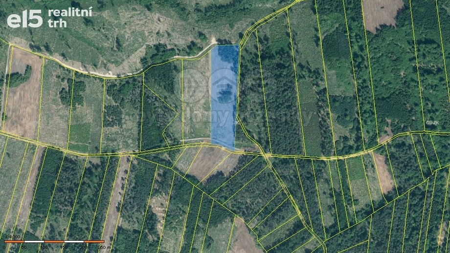 Prodej lesy, 31 810 m² - Jetětice