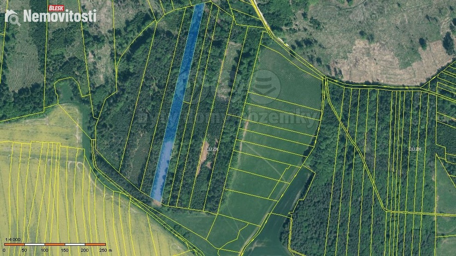 Prodej lesa 12 669 m², Jetětice