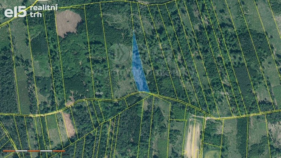 Prodej lesy, 7 736 m² - Jetětice