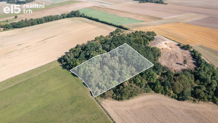 Prodej lesy, 9 132 m² - Panoší Újezd