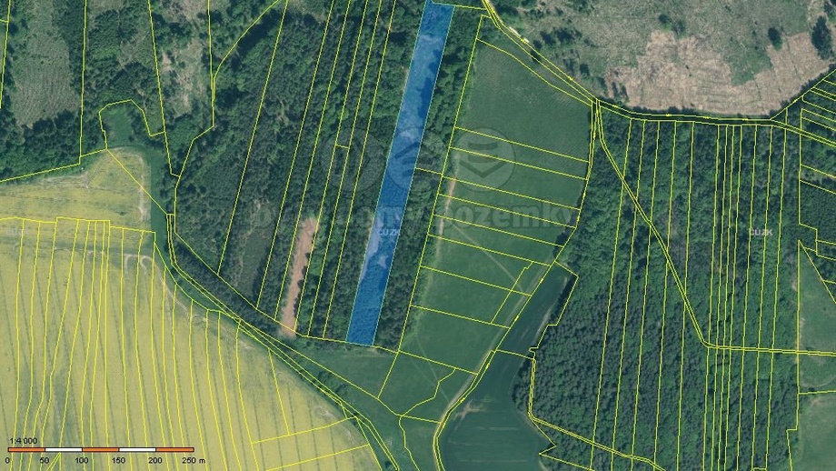 Prodej lesa 17 738 m², Jetětice