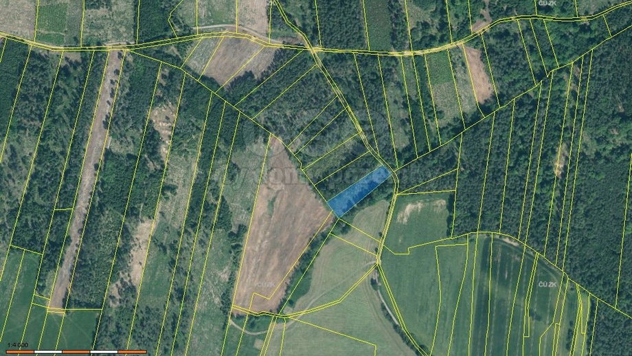 Prodej lesa 3 625 m², Jetětice