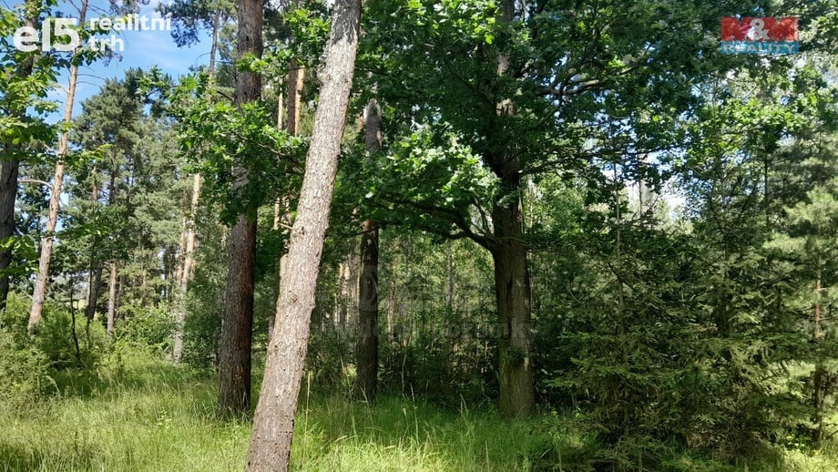 Prodej lesy, 18 400 m² - Putim