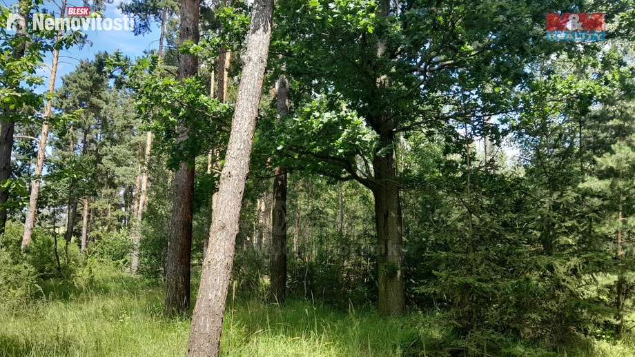 Prodej lesa 18 400 m², Putim