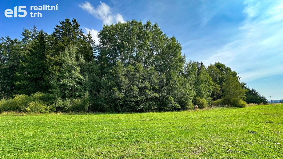 Prodej lesy, 4 708 m² - Kamenice nad Lipou