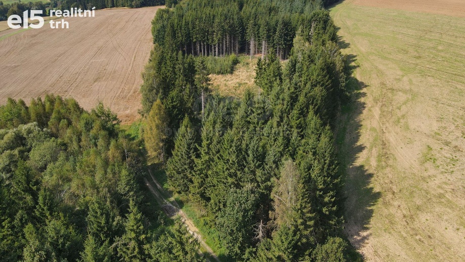 Prodej lesy, 1 501 m² - Kamenice nad Lipou